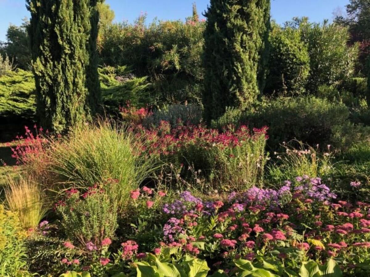 Il Lungo, appartement 4 pers. cœur Chianti - Photo 22