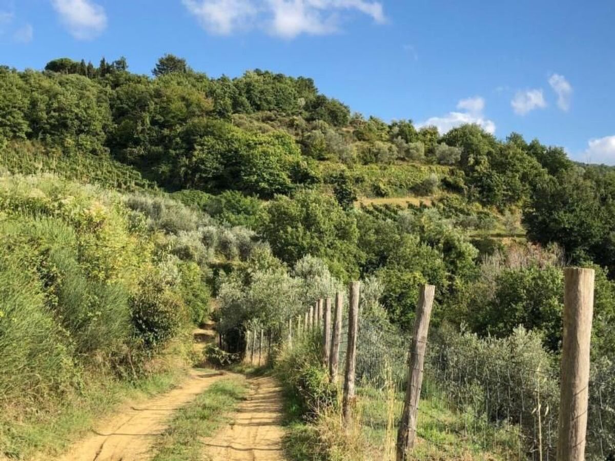 Il Lungo, appartement 4 pers. cœur Chianti - Photo 23