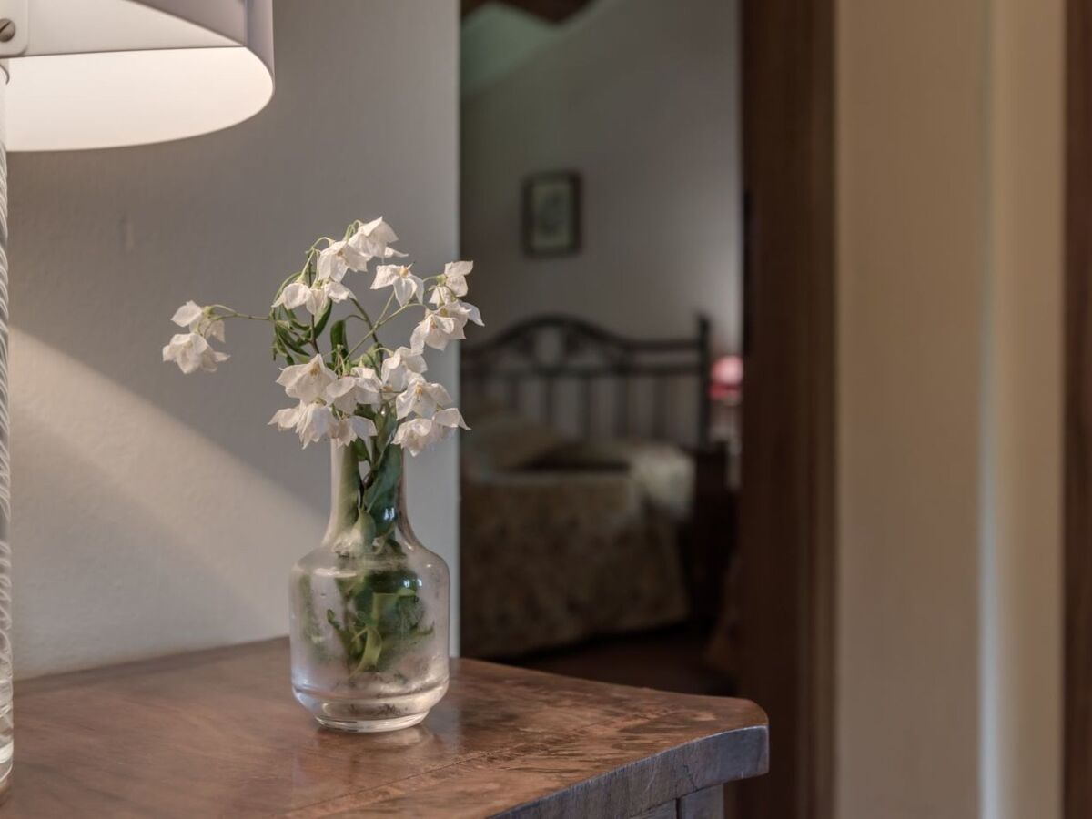 Appartement 3 chambres avec jardin à Casole d'Elsa - Photo 10