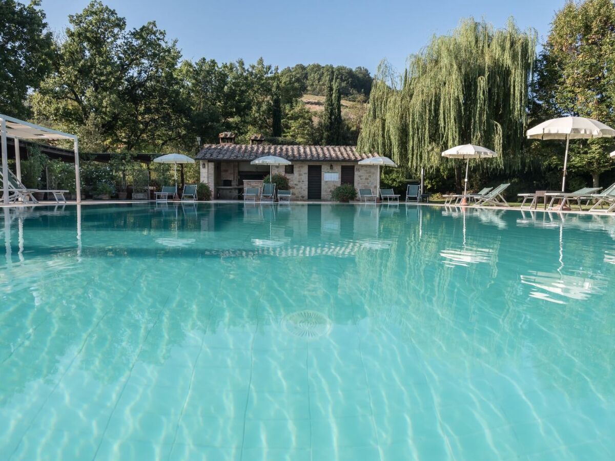 Appartement Certaldo avec piscine à Casole d'Elsa - Photo 34