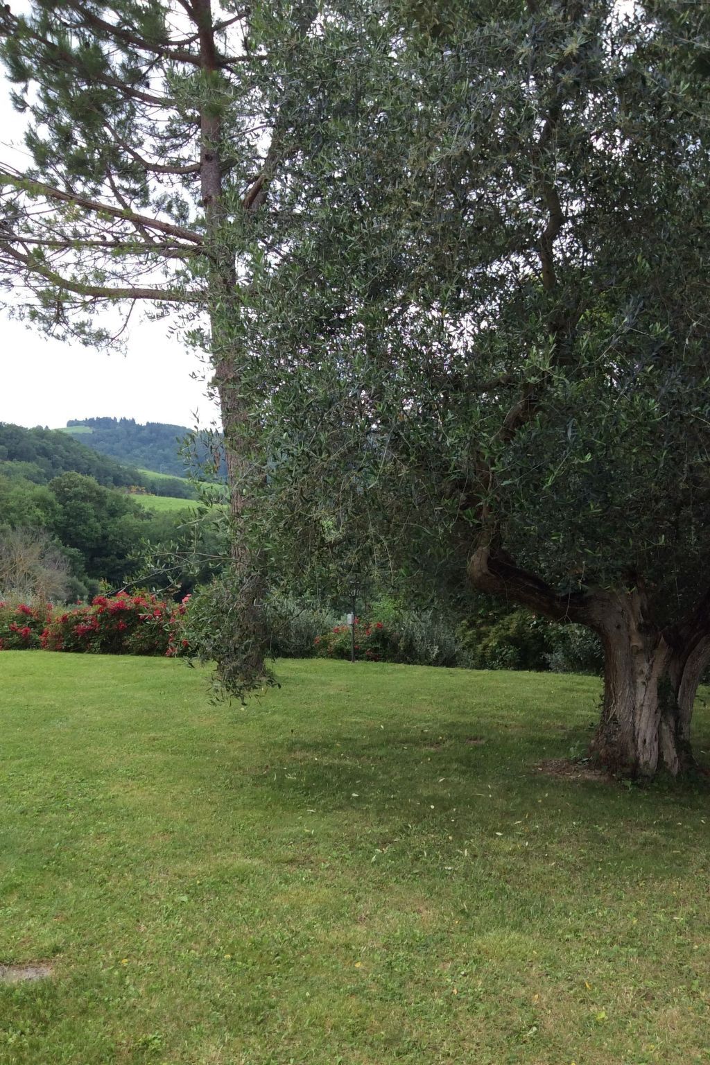 Appartement Gelsomino à la ferme, piscine et vignobles - Photo 7