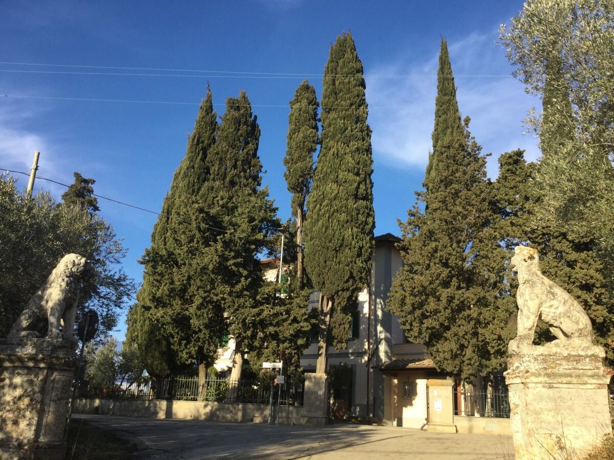 Villa Toscane 10 chambres, piscine et vignobles - Photo 3