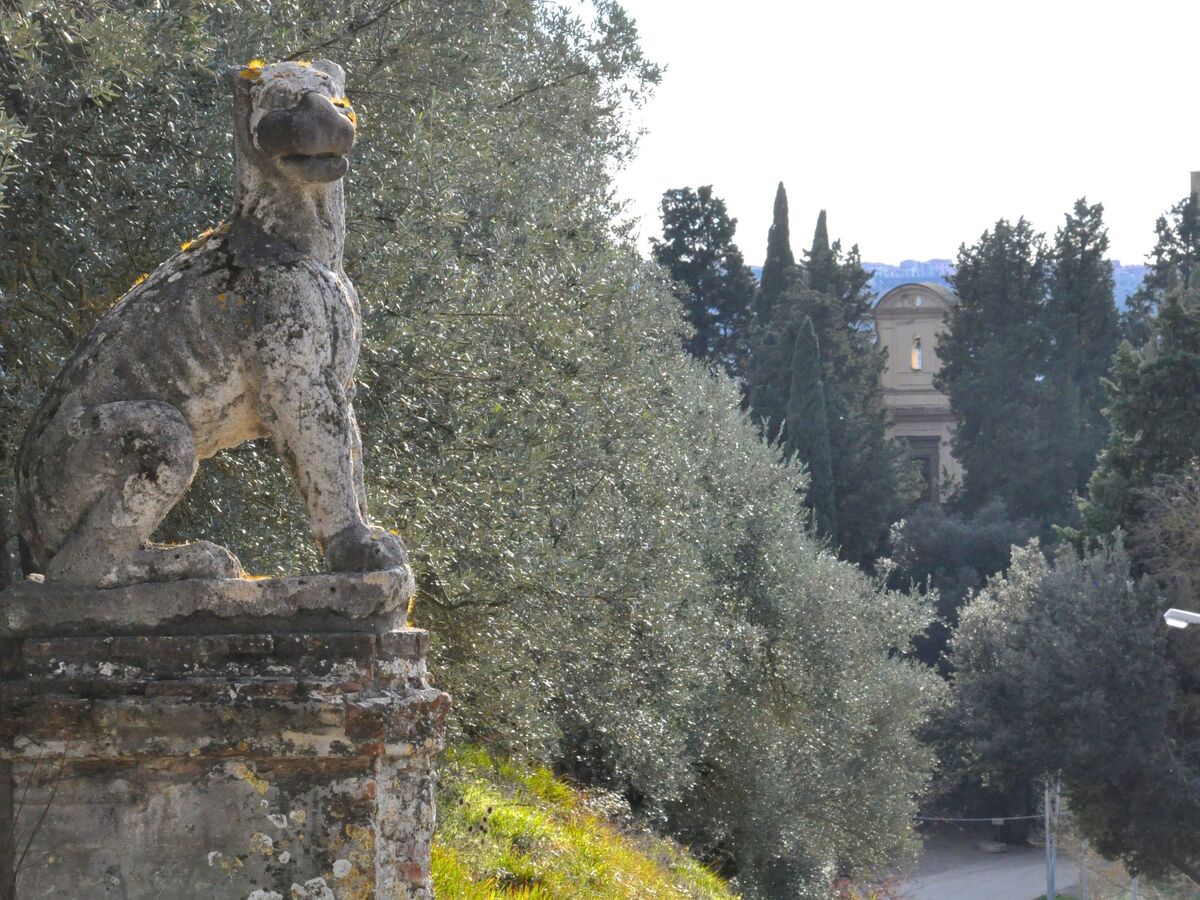 Villa Toscane 10 chambres, piscine et vignobles - Photo 4