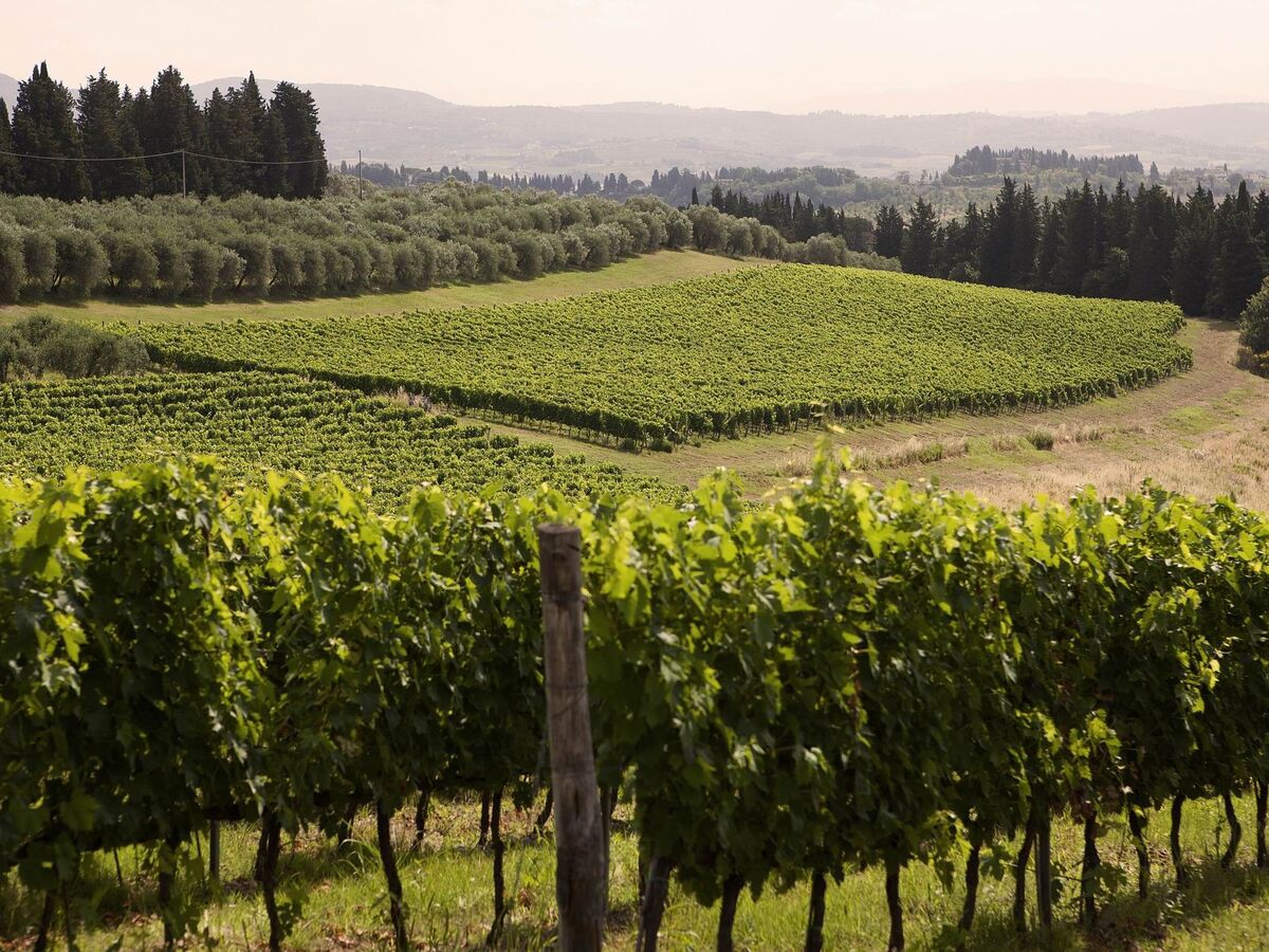 Girasole Capponi, appartement 4 pers. en domaine viticole - Photo 26