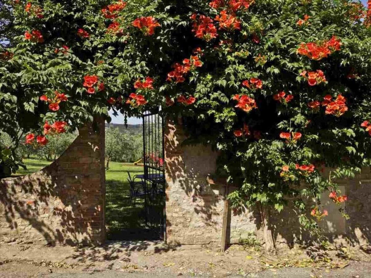 Cappellina Capponi, appartement 5 pers. en Toscane - Photo 11