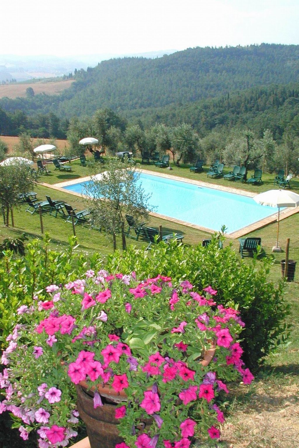 Appartement Olivo Capponi avec accès piscine commune - Photo 23