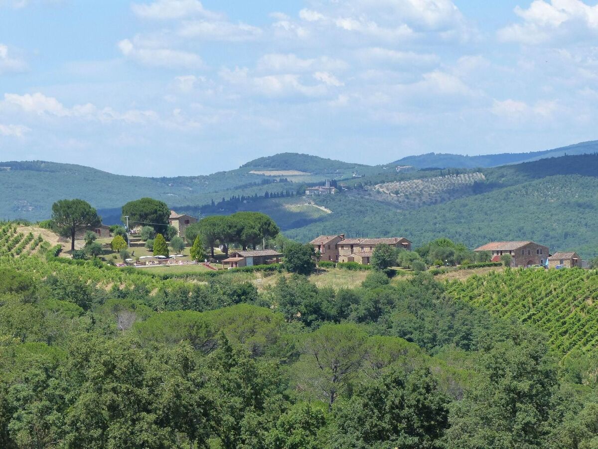 Schloss Selvole B3, appartement 3 pers. en Chianti - Photo 25