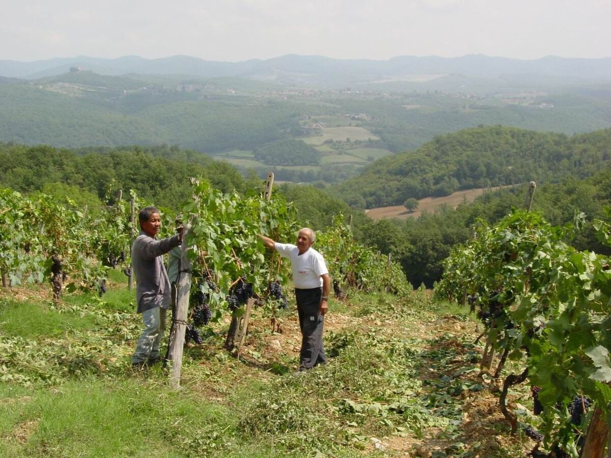 Appartement T2 Schloss Selvole, Chianti Classico - Photo 14