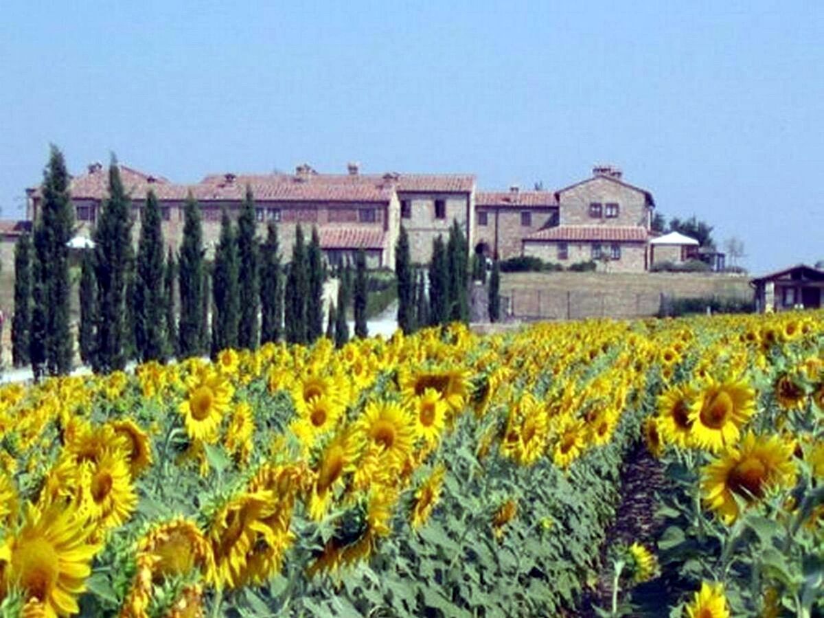 Appartement Beccanella T6 avec piscine en Toscane - Photo 6