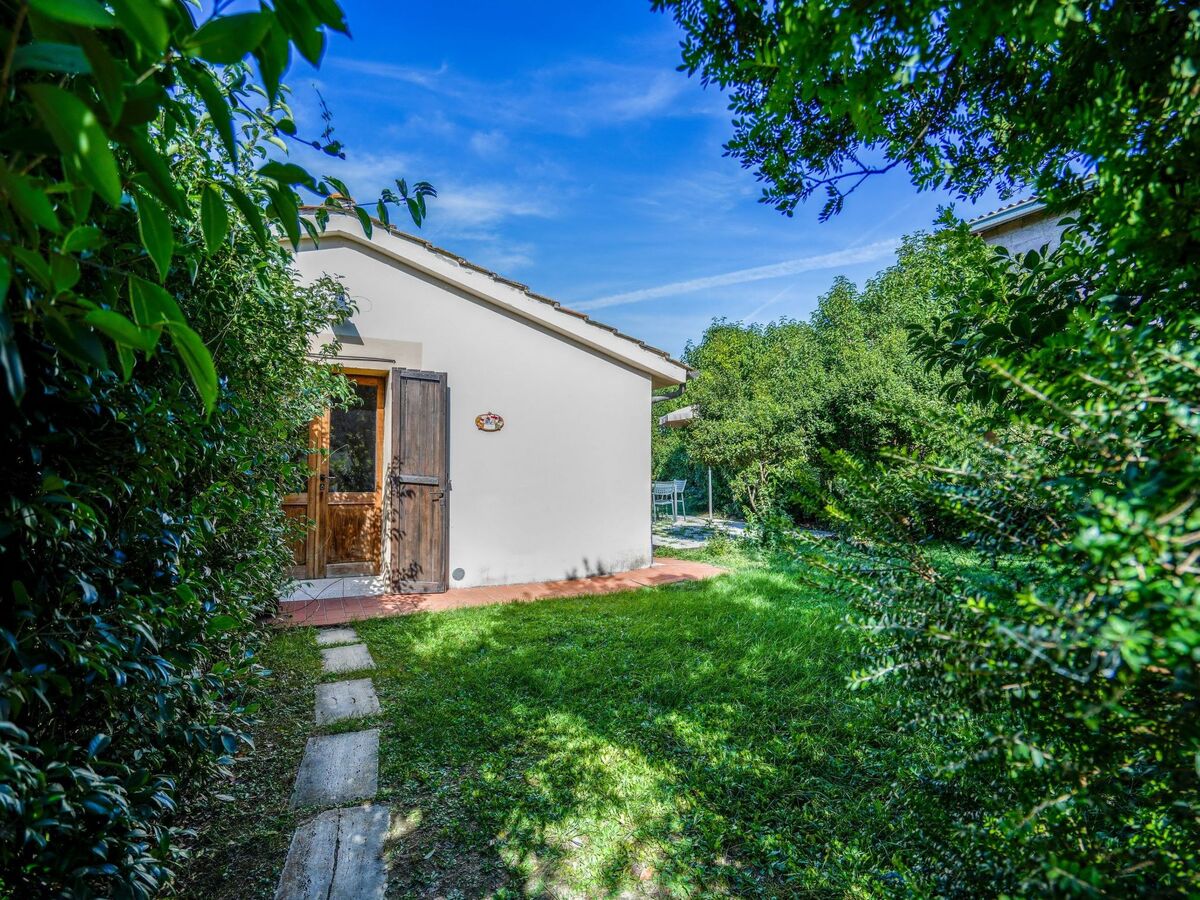 Appartement Molinello Pini avec piscine à Asciano - Photo 1
