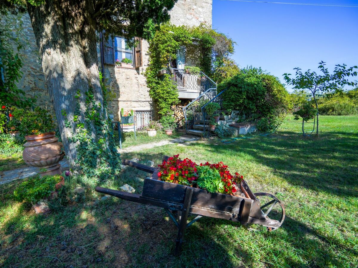 Molinello Cipresso – Appartement 8 pers. Asciano - Photo 10