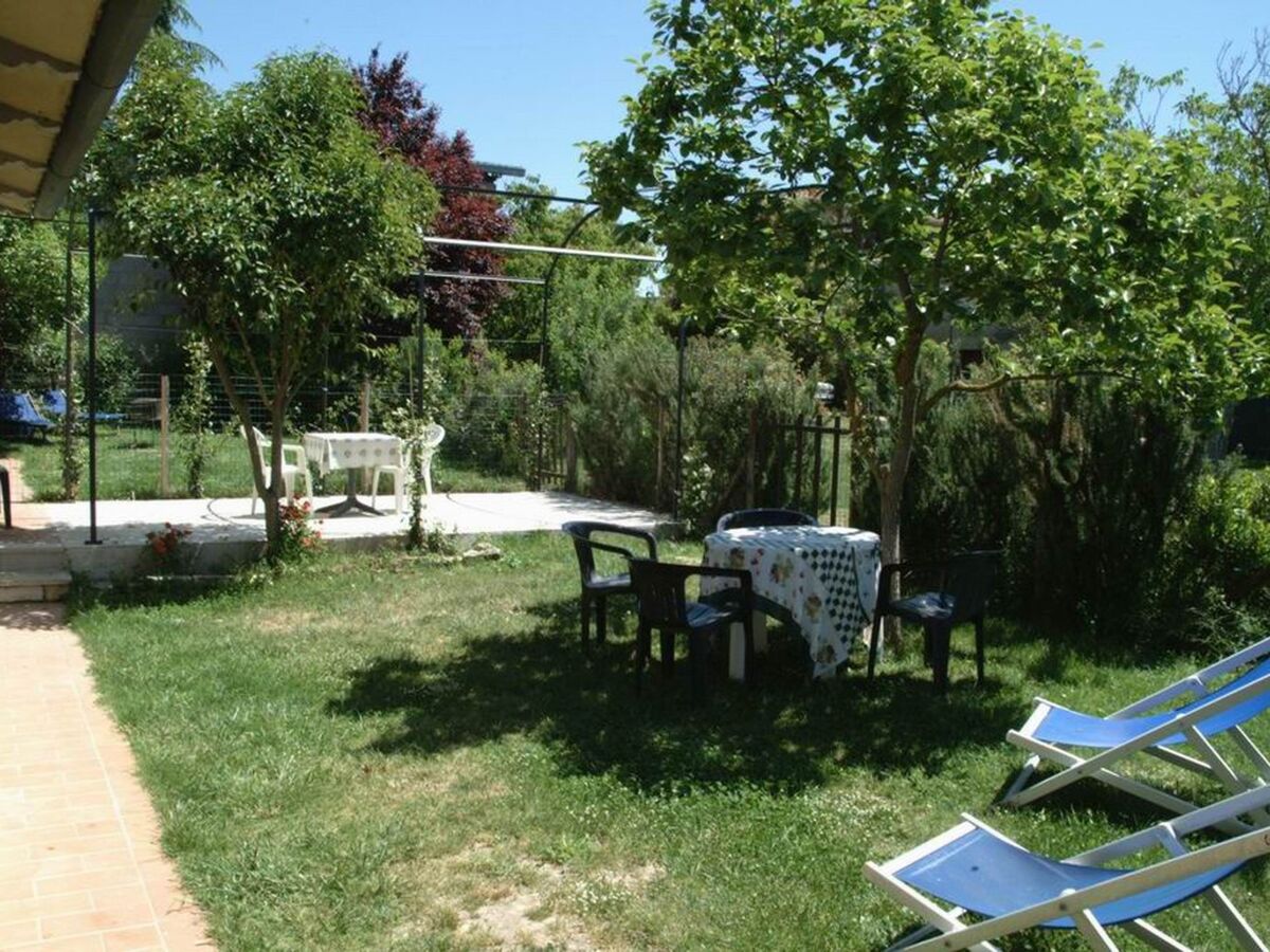 Appartement 50m² avec piscine à Asciano - Photo 4