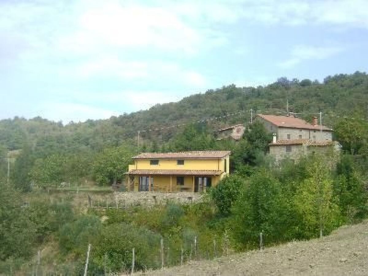 Intero Agriturismo – 7 chambres, piscine privée à Arezzo - Photo 13