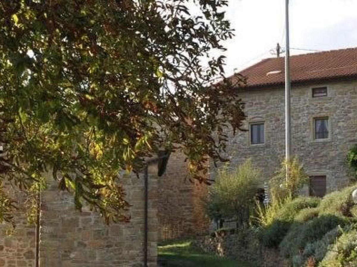 Intero Agriturismo – 7 chambres, piscine privée à Arezzo - Photo 15