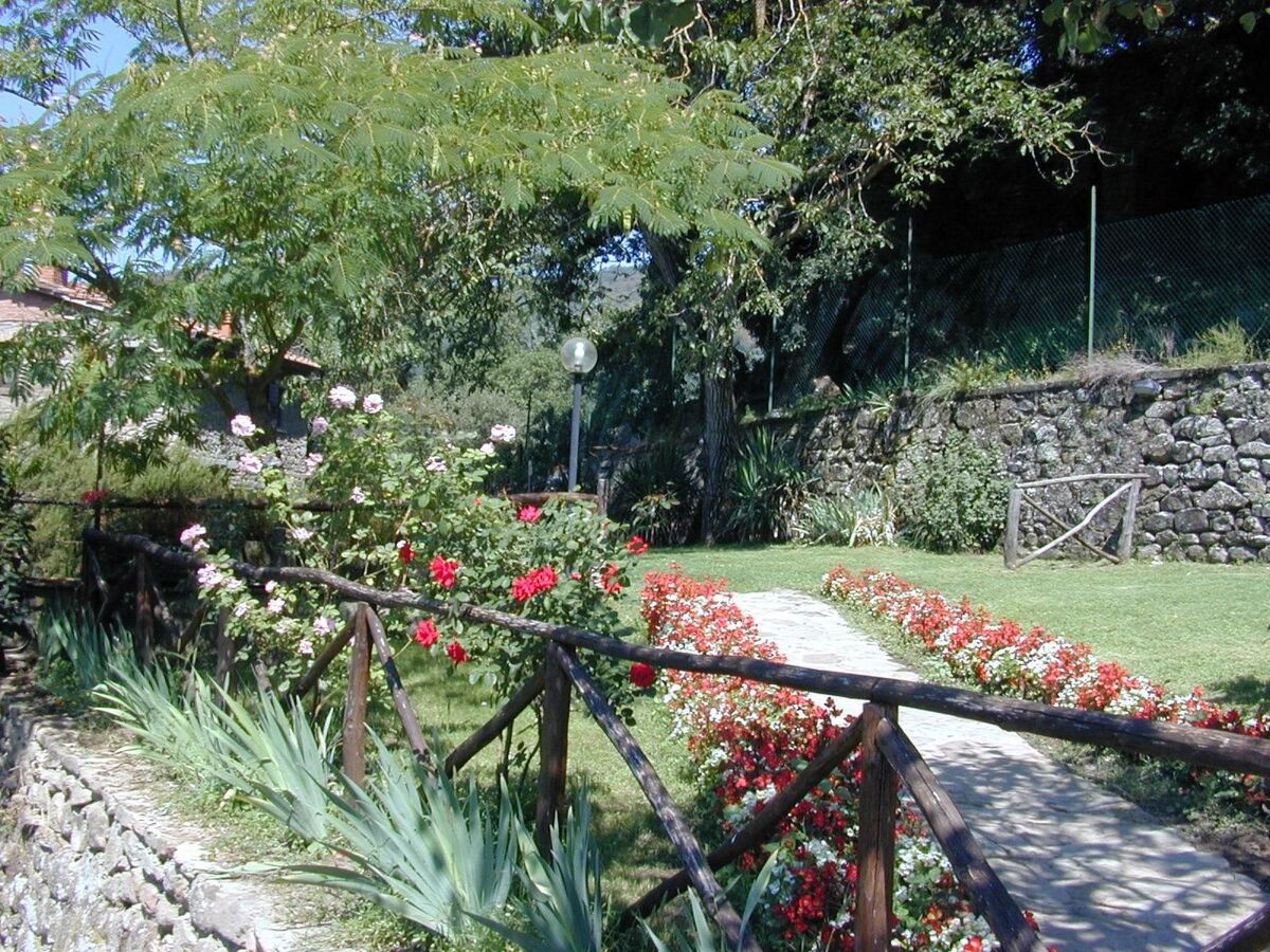 Villa Casina – Maison Arezzo piscine, ferme bio & château - Photo 4