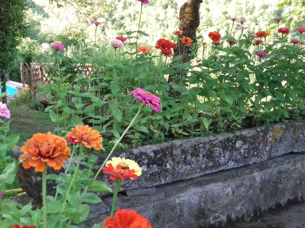 Villa Casina – Maison Arezzo piscine, ferme bio & château - Photo 11