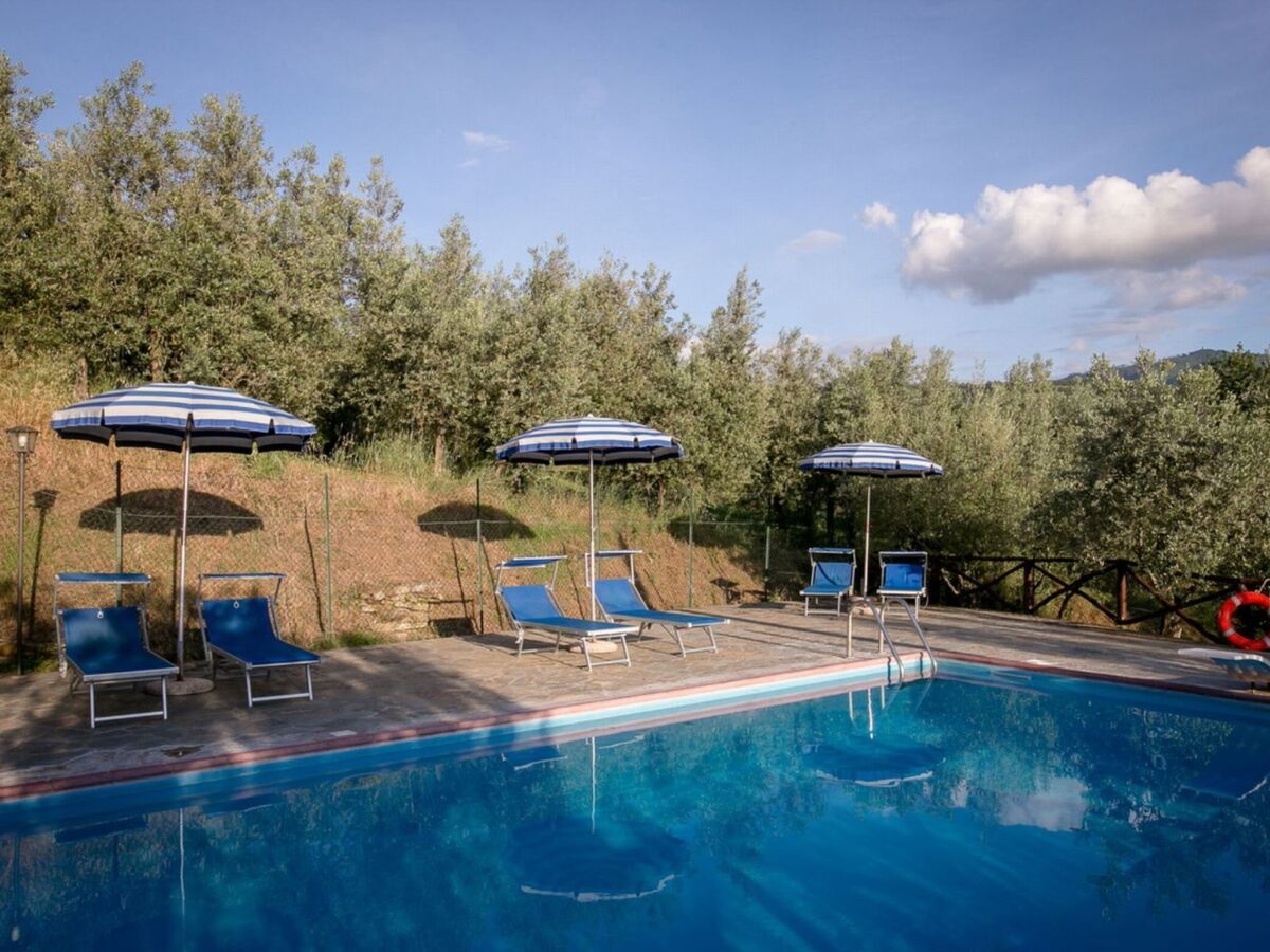 Villa Margherita, 20 pers., piscine privée à Castiglion Fiorentino - Photo 4