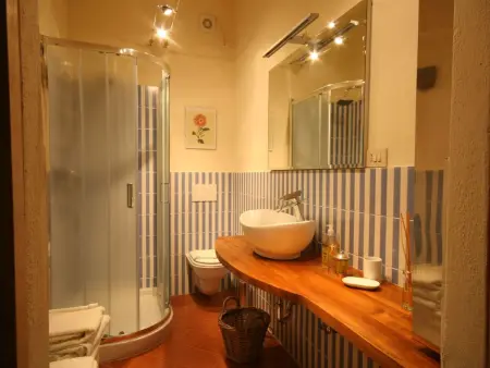 Casa Colonica : 9 pers, piscine privée et jardin à Gaiole : photo 17