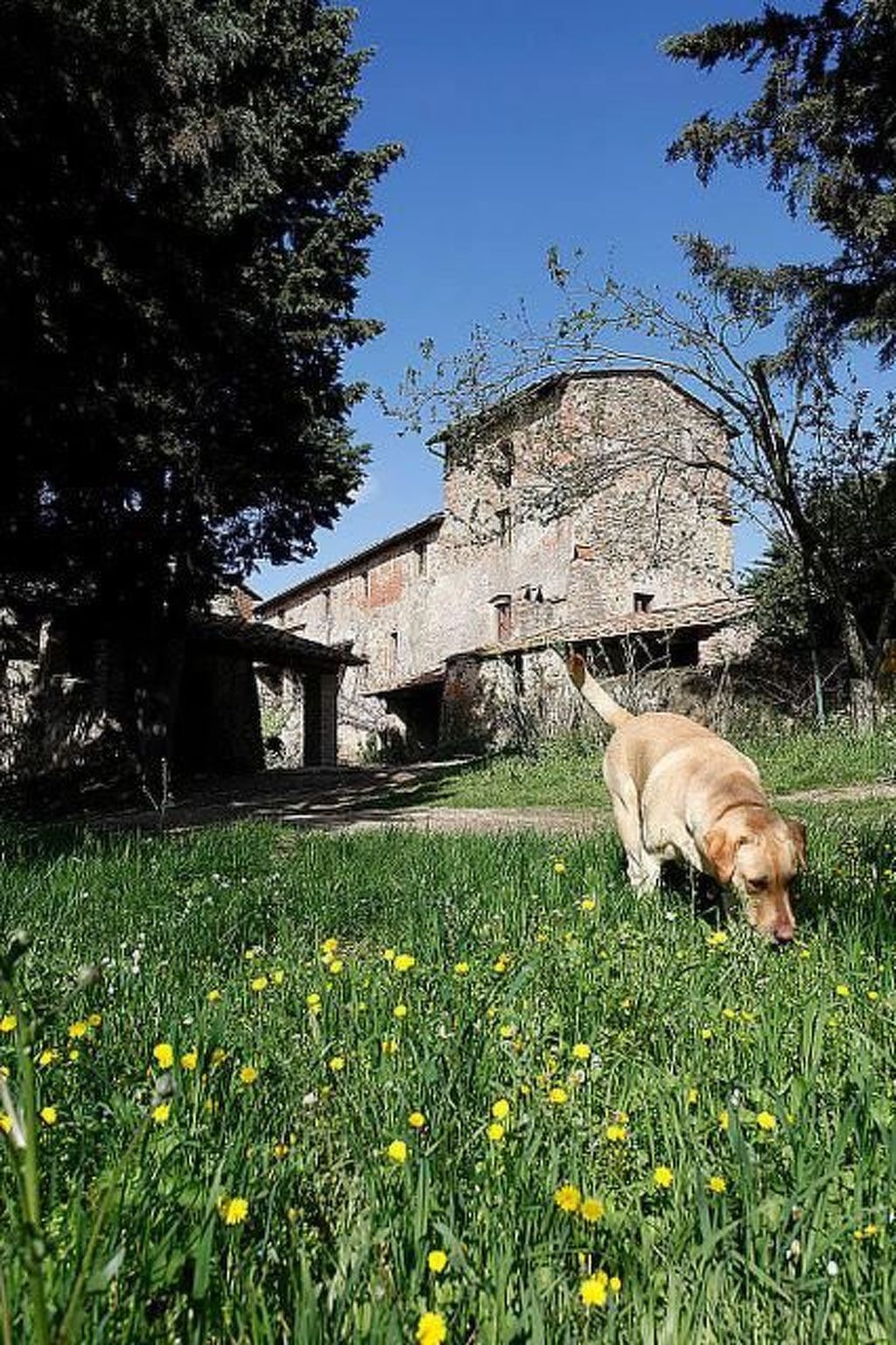 Appartement Gina à la ferme, piscine à 80m - Photo 24