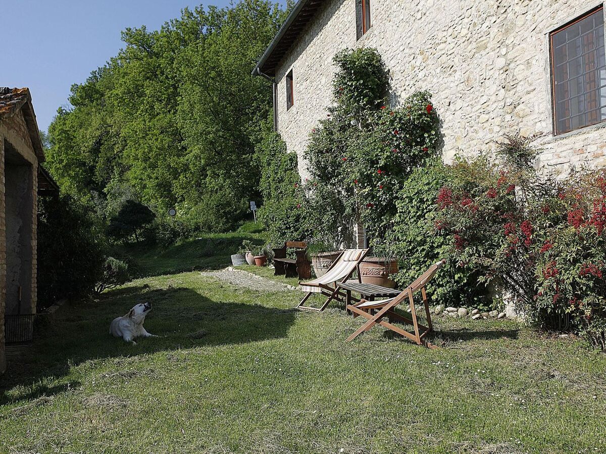 Casa Erta, ferme toscane 6 chambres avec piscine - Photo 8