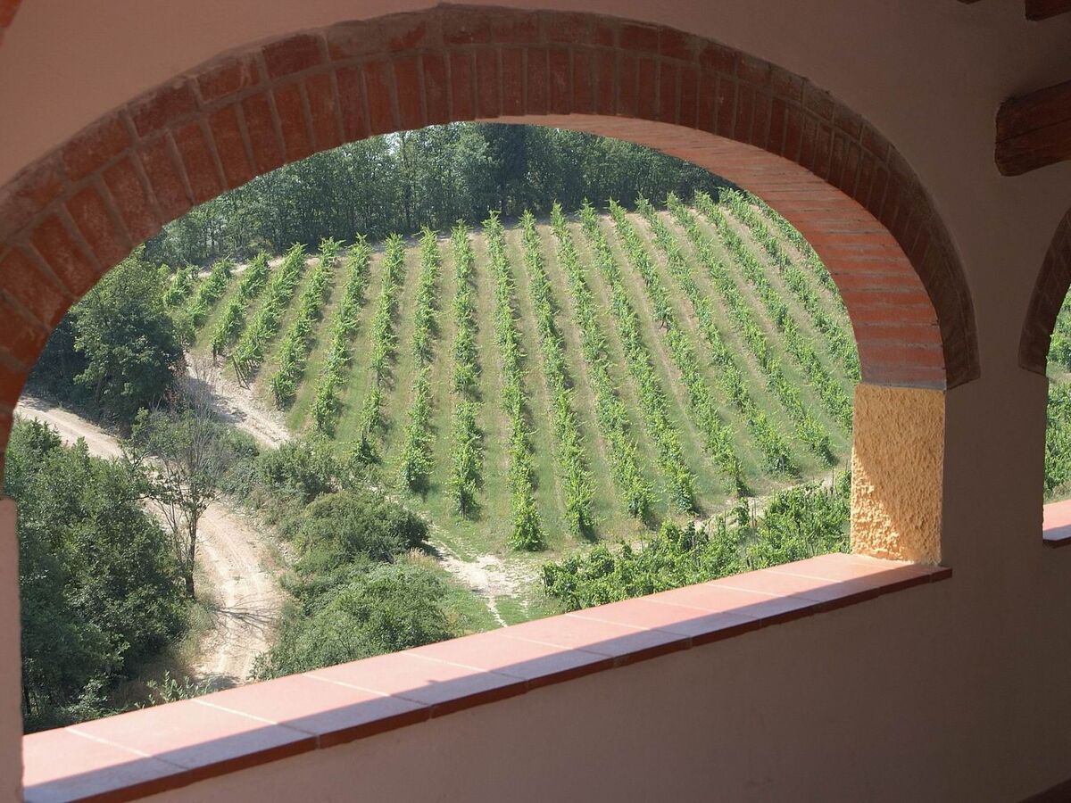 Appartement avec terrasse panoramique à San Donato - Photo 24
