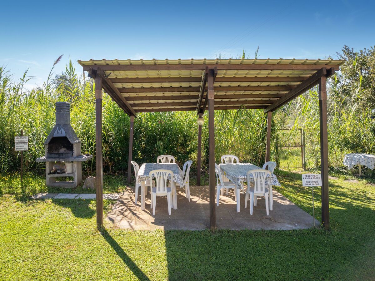 Villa 1 chambre avec piscine à Cecina, 5 km de la plage - Photo 52