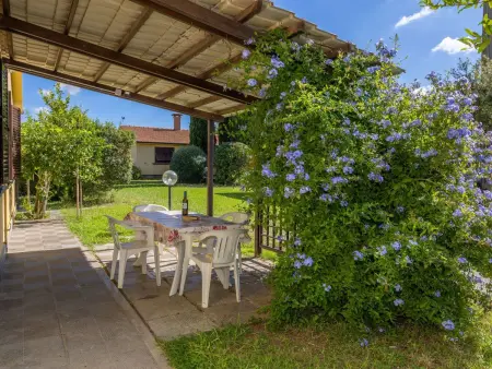 Location appartement à Cecina, Casa Milla - Drei-Zimmer-Wohnung Fasan