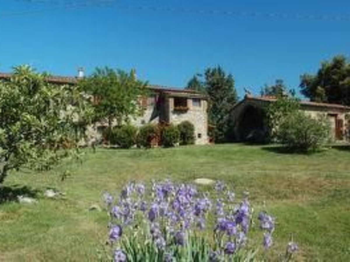 Agriturismo San Ansanino – Maison 6 pers. en forêt - Photo 3