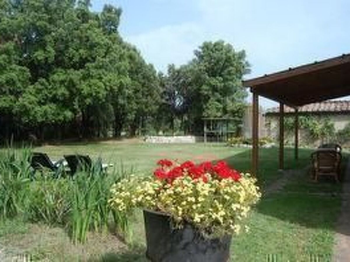 Agriturismo San Ansanino – Maison 6 pers. en forêt - Photo 5