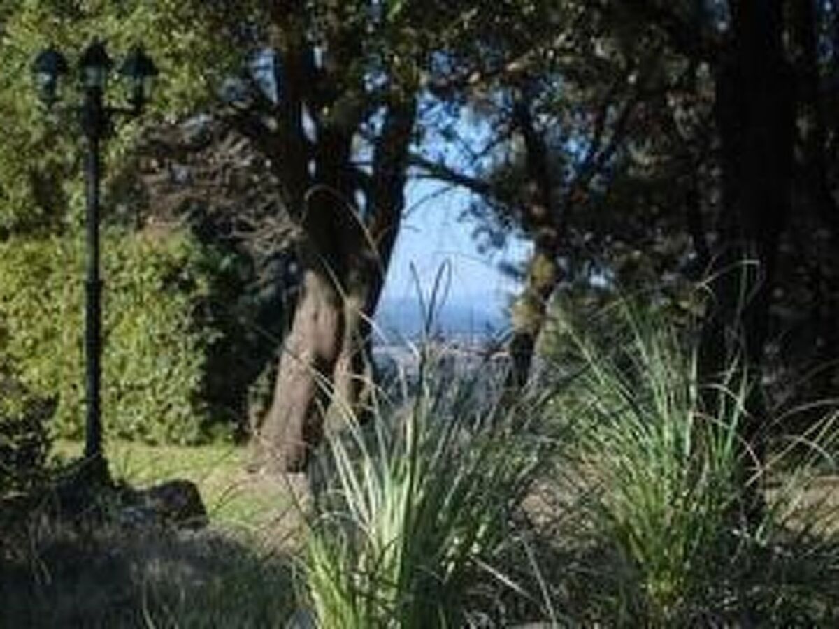 Agriturismo San Ansanino – Maison 6 pers. en forêt - Photo 10