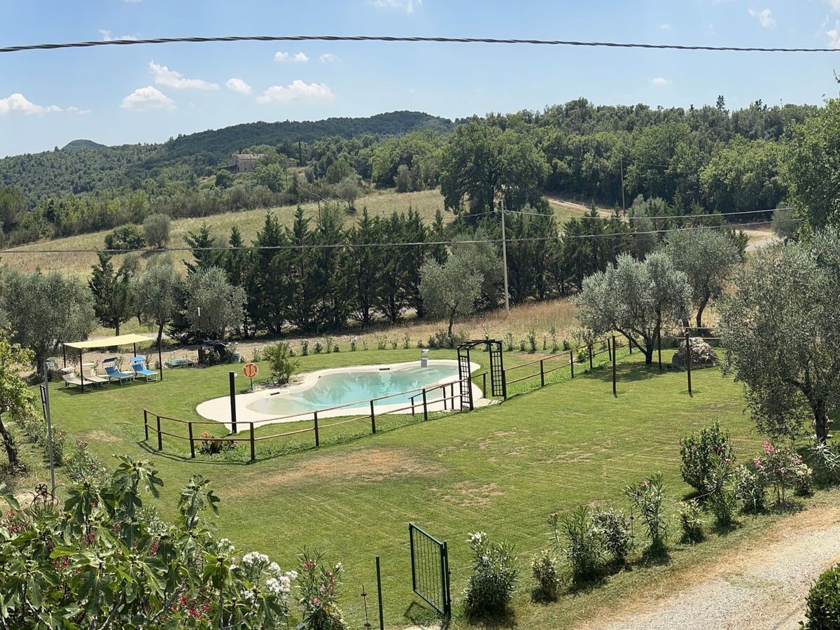 Agriturismo San Ansanino – Maison 6 pers. en forêt - Photo 41