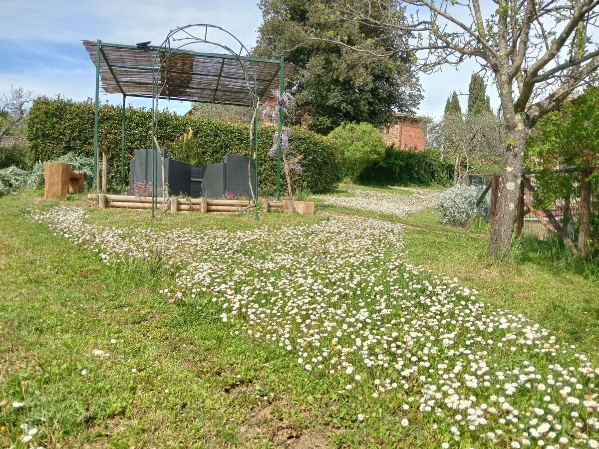 Marias Bauernhof – Maison 3 chambres à Murlo - Photo 11