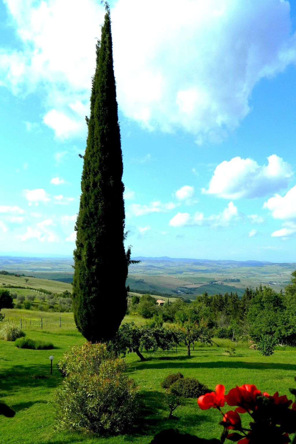 Appartement Casa Claudia avec jardin privé à Castiglione d'Orcia - Photo 8
