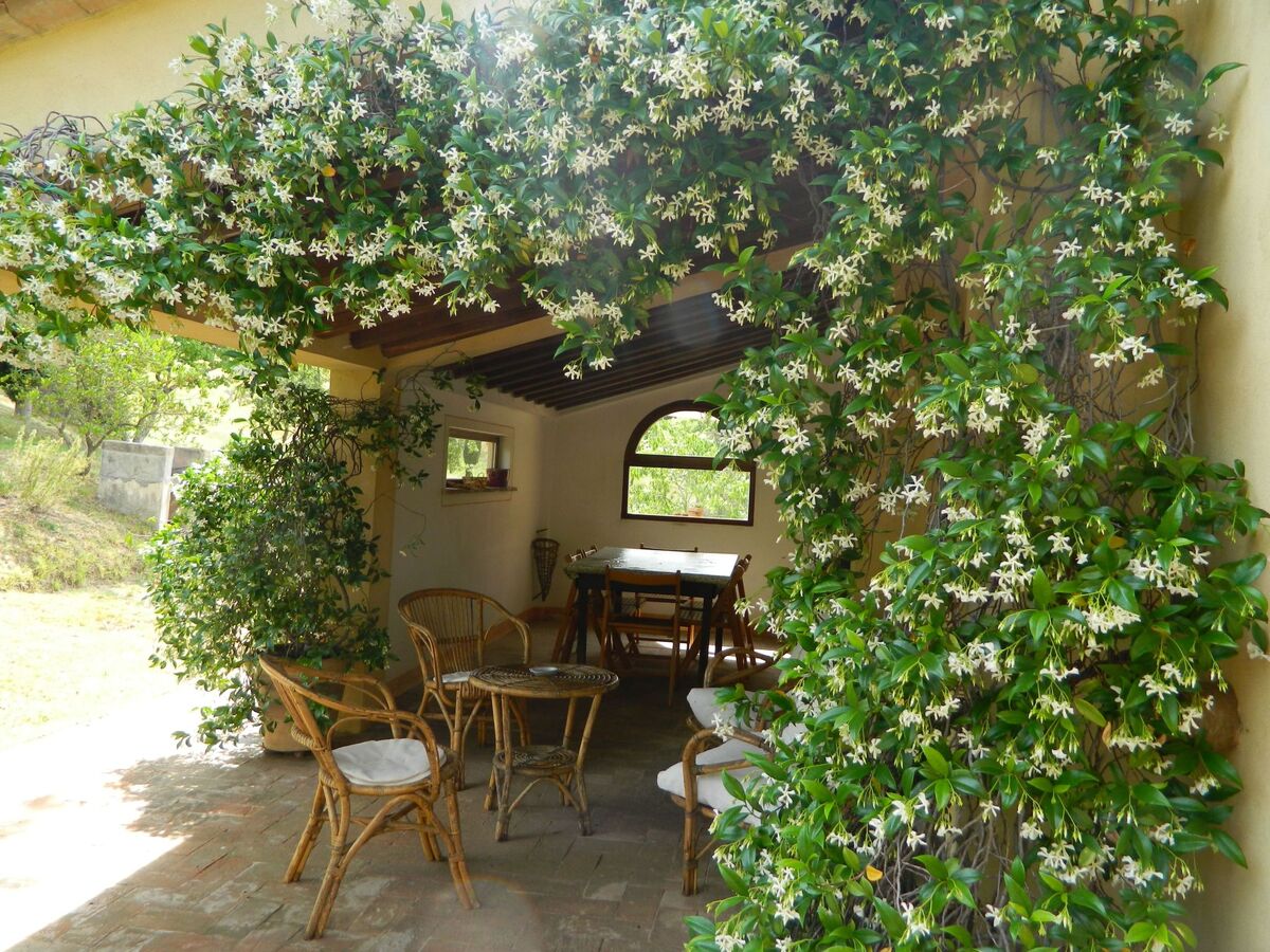 Casa Letizia, appartement 4 pers. vue Val d'Orcia - Photo 3