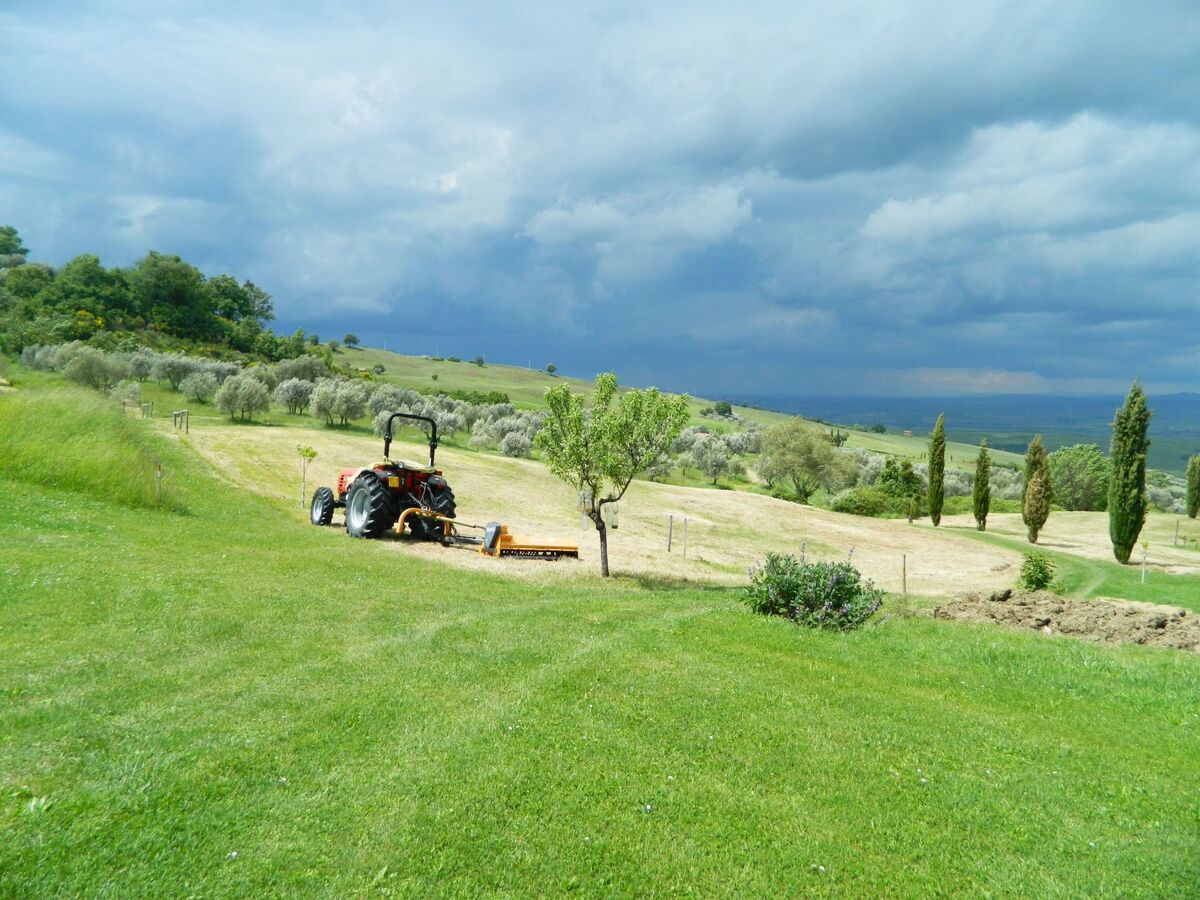 Casa Letizia, appartement 4 pers. vue Val d'Orcia - Photo 26