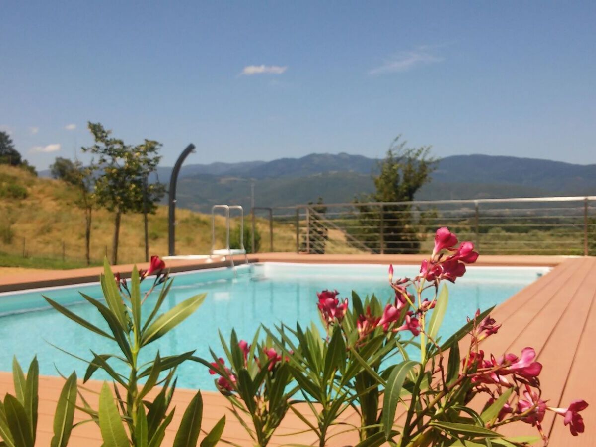Appartement Flache Linde avec piscine et vignoble - Photo 1