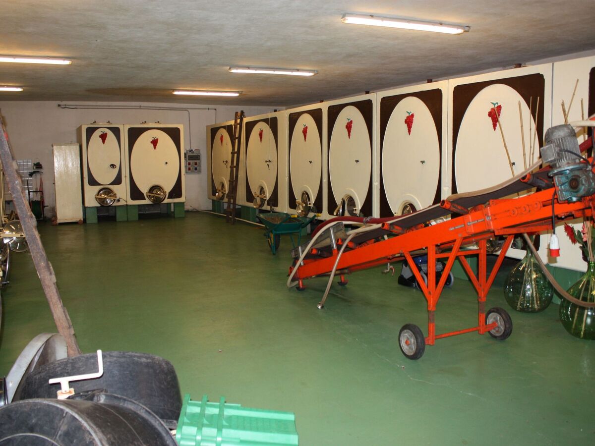 Appartement Flache Linde avec piscine et vignoble - Photo 52