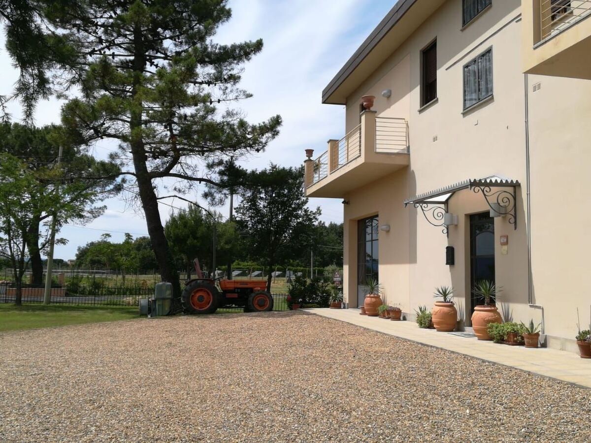Studio avec piscine partagée à Terranuova Bracciolini - Photo 13