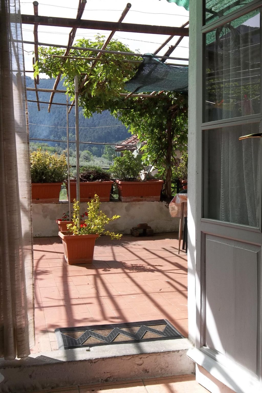 Appartement 4 chambres avec terrasse pergolée à Calci - Photo 5