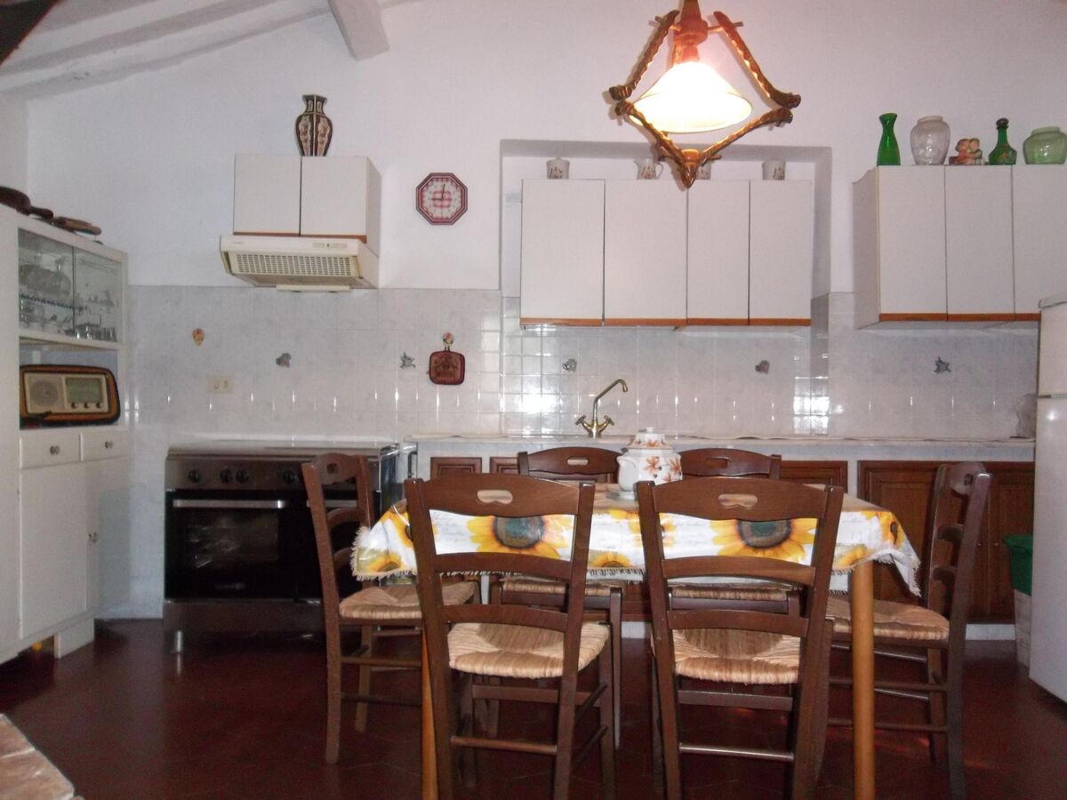 Appartement 4 chambres avec terrasse pergolée à Calci - Photo 10
