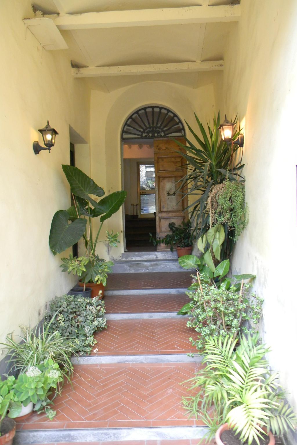 Appartement 4 chambres avec terrasse pergolée à Calci - Photo 19