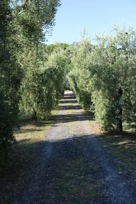 Campo del Rosario - Maison 5 personnes avec piscine : photo 3