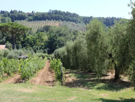 Campo del Rosario - Maison 5 personnes avec piscine : photo 21