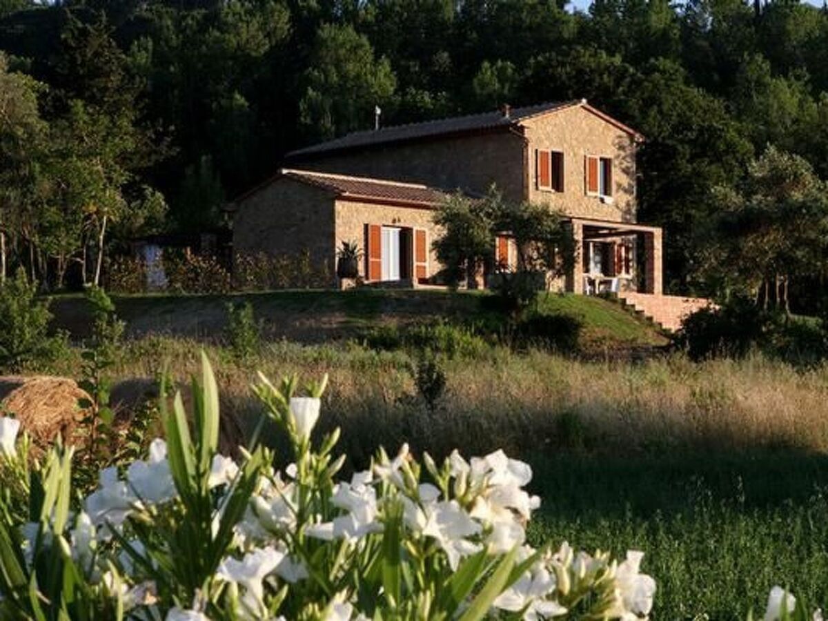 Villa Berti à Montescudaio : maison 7 pers, piscine, 1,3 ha - Photo 1