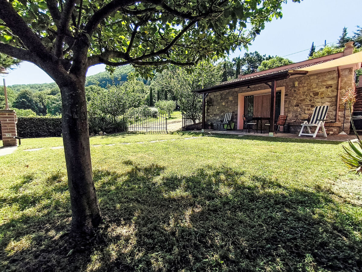 Appartement rustique Castellina Marittima, jardin privé - Photo 1