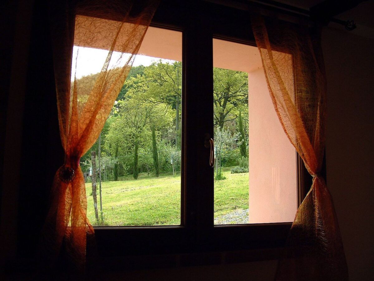 Appartement rustique Castellina Marittima, jardin privé - Photo 10