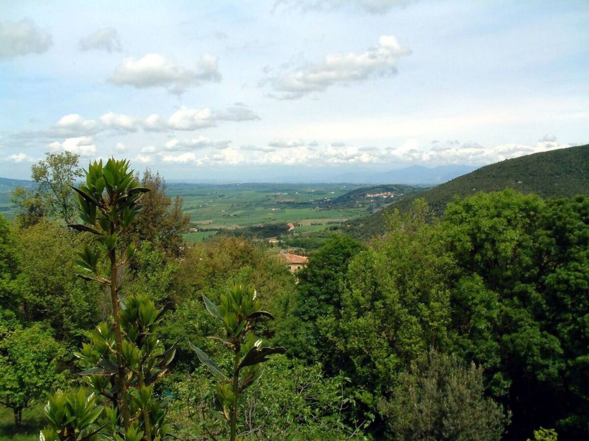 Casa Papacqua - Appartement Castellina Marittima, vue mer - Photo 25