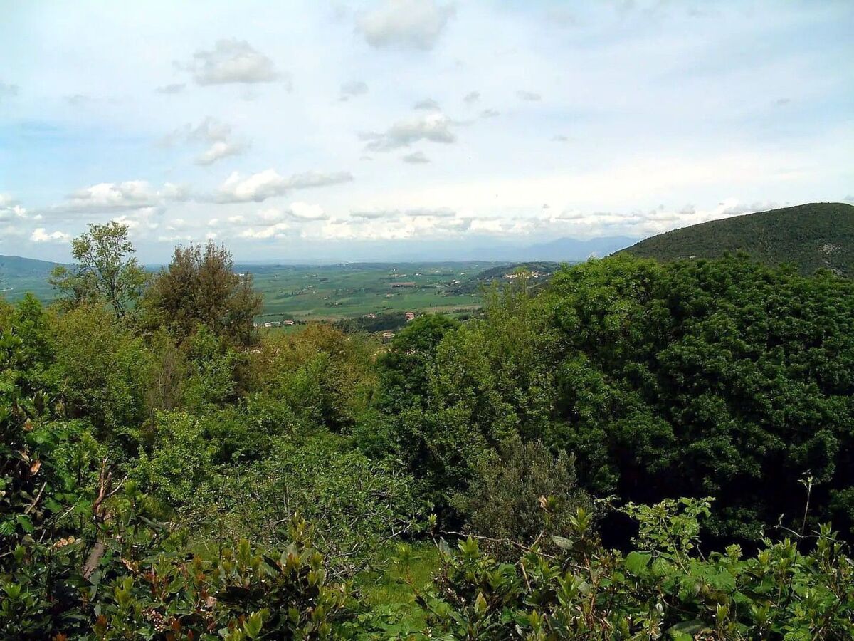 Casa Papacqua - Appartement Castellina Marittima, vue mer - Photo 27