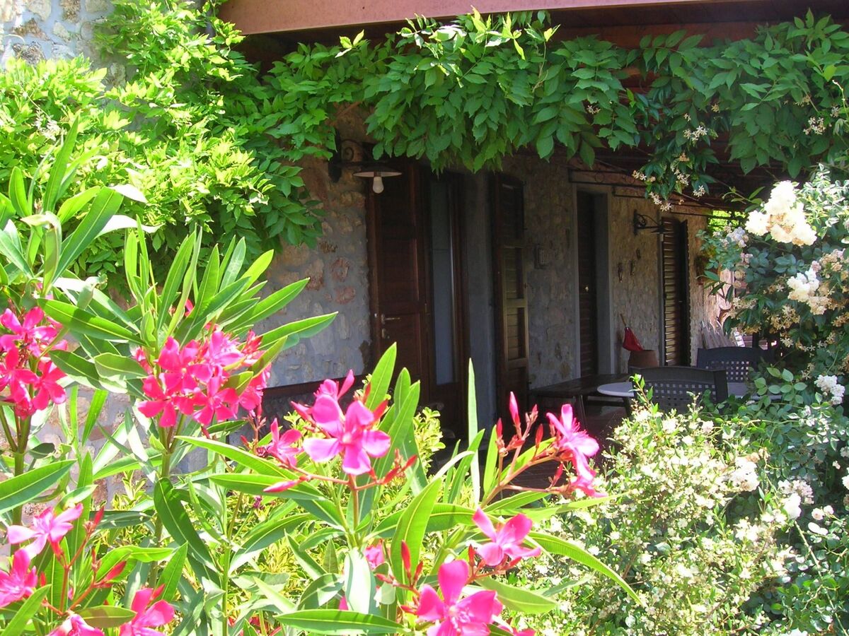Studio Ligoracce, vue mer en ferme toscane - Photo 9