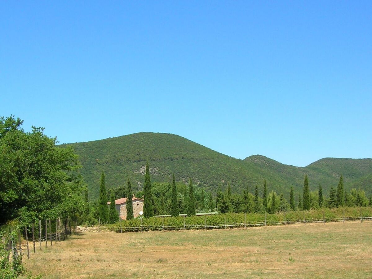 Studio Ligoracce, vue mer en ferme toscane - Photo 18
